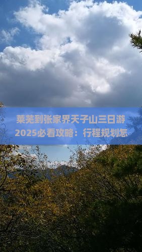 莱芜到张家界天子山三日游