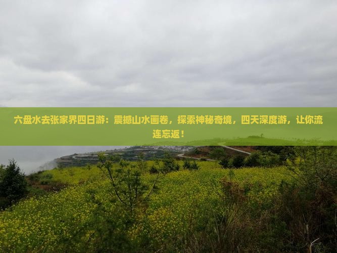 六盘水去张家界四日游 六盘水去张家界四日游