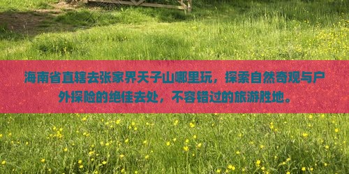海南省直辖去张家界天子山哪里玩