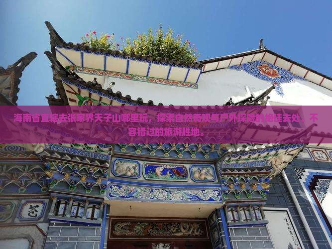 海南省直辖去张家界天子山哪里玩