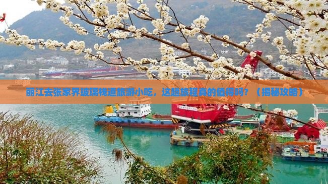 丽江去张家界玻璃栈道旅游小吃