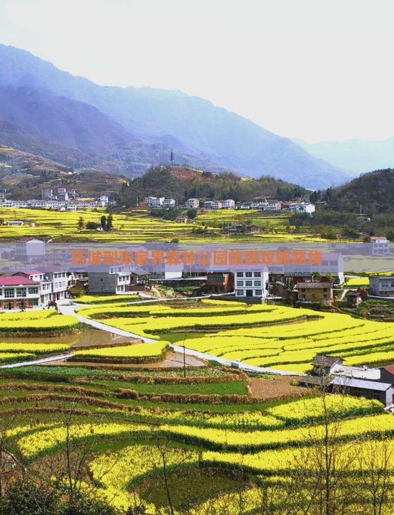 塔城到张家界森林公园旅游