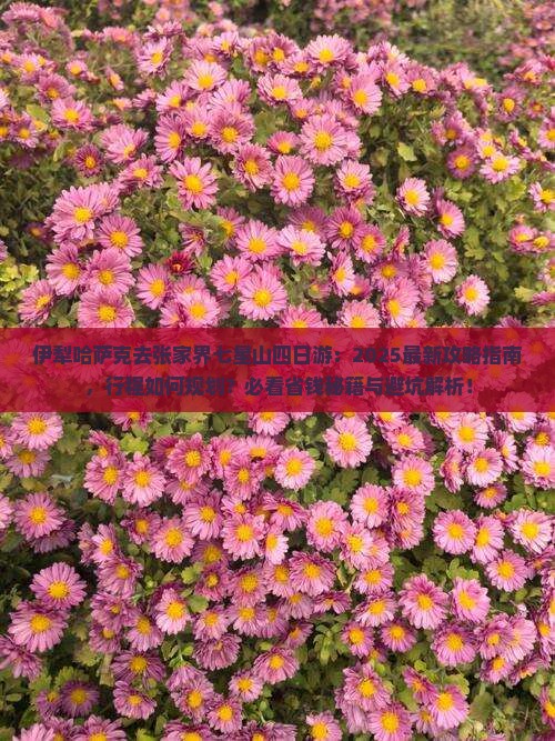 伊犁哈萨克去张家界七星山四日游