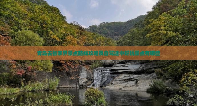 青岛去张家界景点