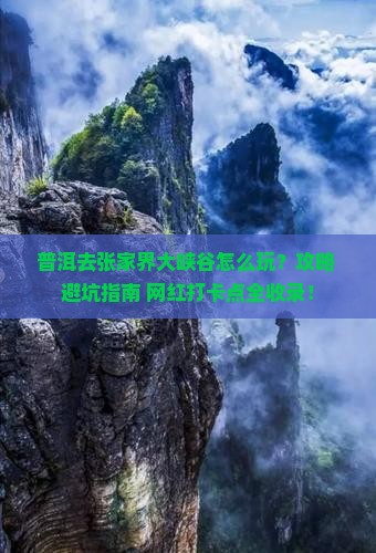 普洱去张家界大峡谷哪里玩