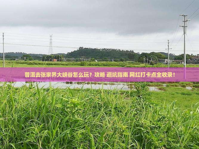 普洱去张家界大峡谷哪里玩