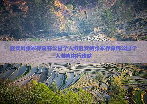 淮安到张家界森林公园个人游