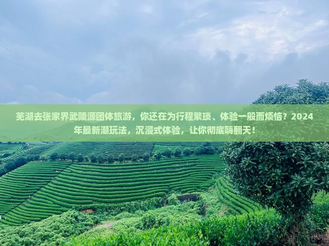 芜湖去张家界武陵源团体旅游