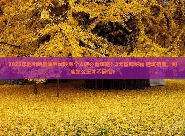 池州到张家界武陵源个人游