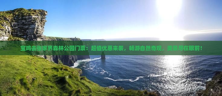 宝鸡去张家界森林公园门票