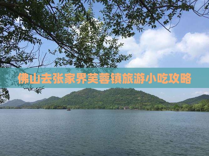 佛山去张家界芙蓉镇旅游小吃