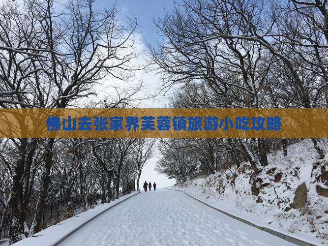 佛山去张家界芙蓉镇旅游小吃