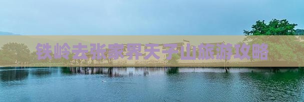 铁岭去张家界天子山哪里玩