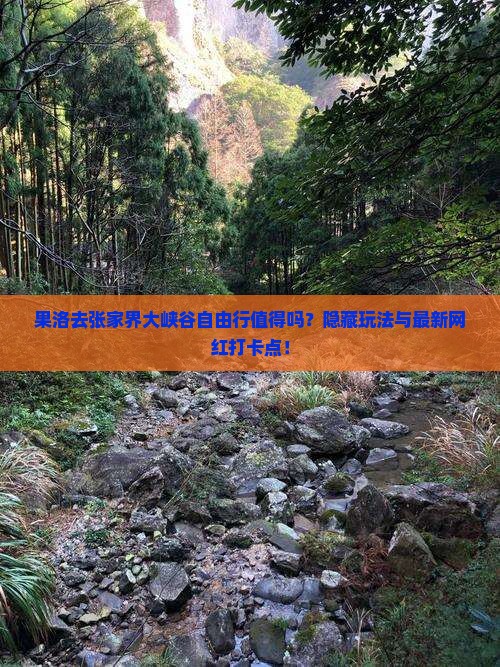 果洛去张家界大峡谷自由行