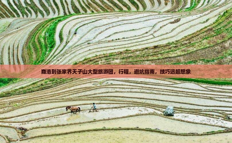 商洛到张家界天子山大型旅游团