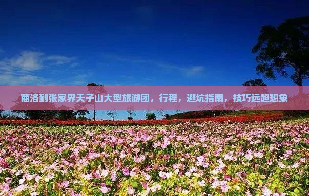 商洛到张家界天子山大型旅游团