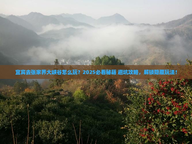 宜宾去张家界大峡谷哪里玩