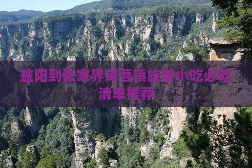 益阳到张家界芙蓉镇旅游小吃