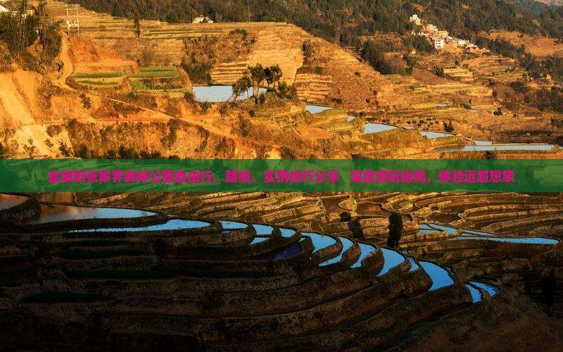 盐城到张家界森林公园自由行
