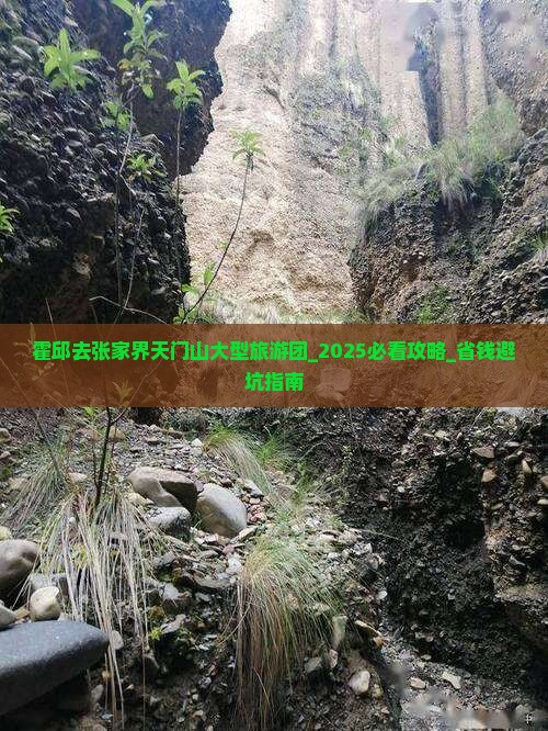 霍邱去张家界天门山大型旅游团