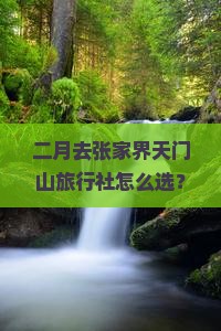 二月去张家界天门山旅行社