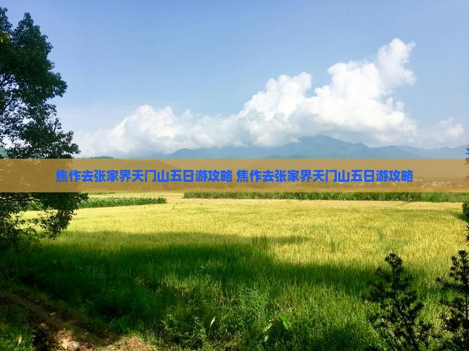 焦作去张家界天门山五日游