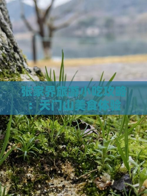 德阳到张家界天门山旅游小吃