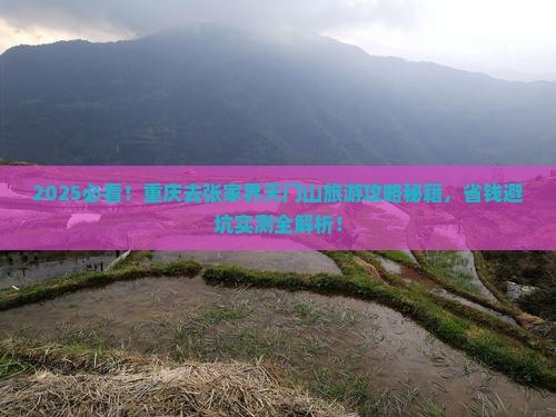 重庆去张家界天门山旅游