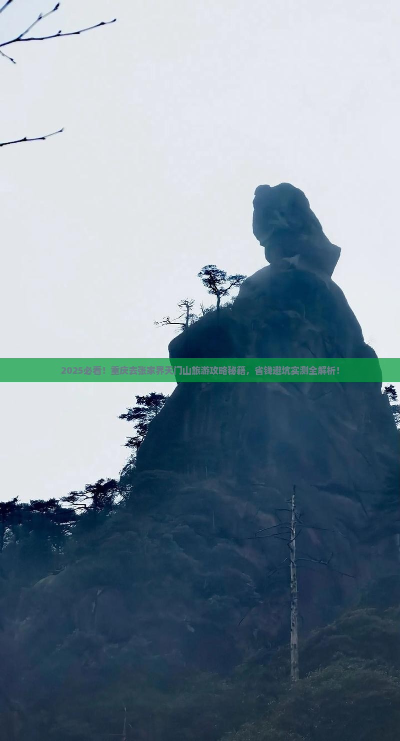 重庆去张家界天门山旅游