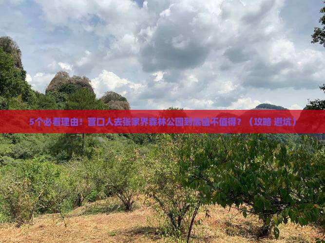 营口去张家界森林公园旅行社