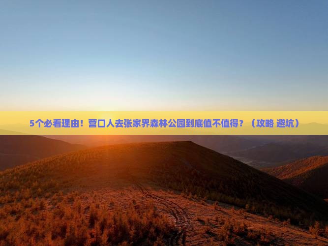 营口去张家界森林公园旅行社