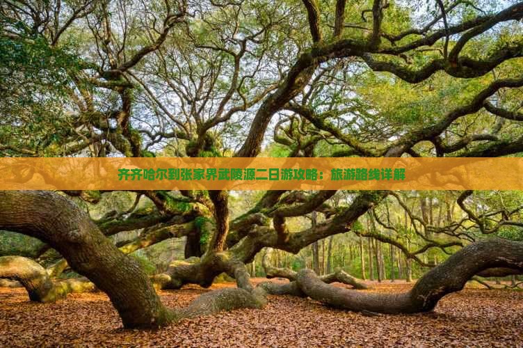 齐齐哈尔到张家界武陵源二日游