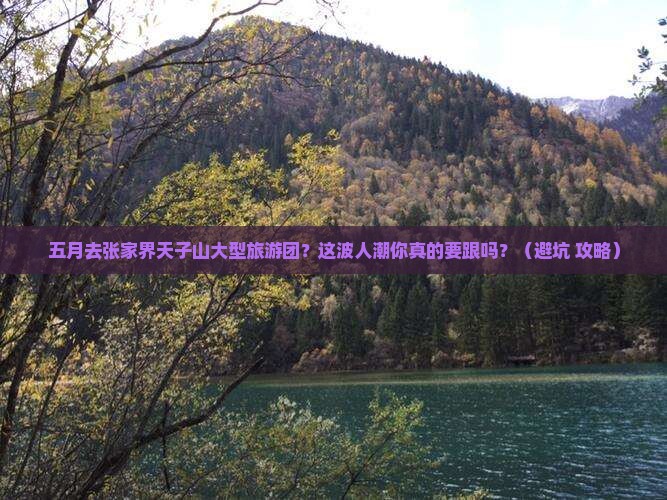 五月去张家界天子山大型旅游团