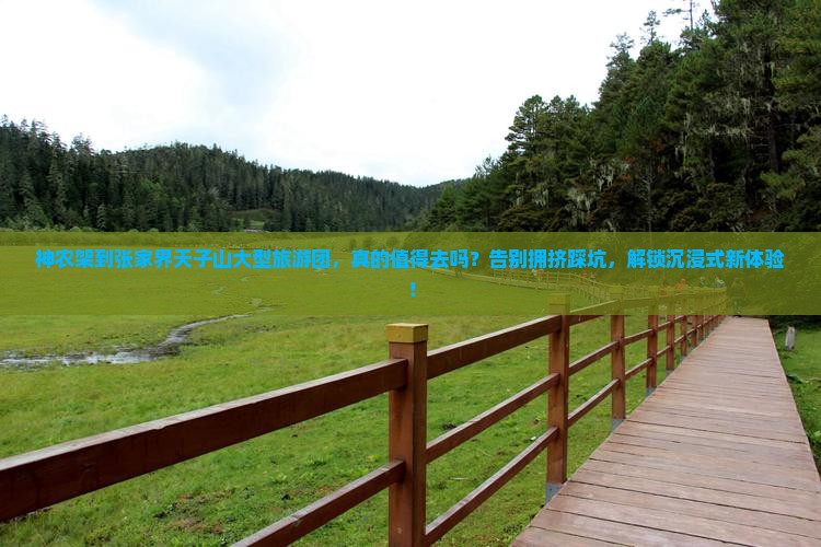 神农架到张家界天子山大型旅游团