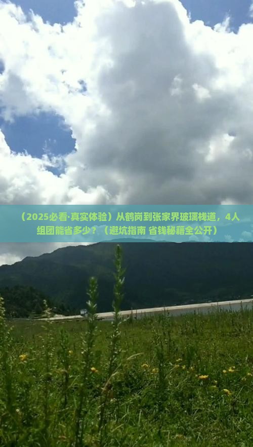 鹤岗到张家界玻璃栈道团体旅游