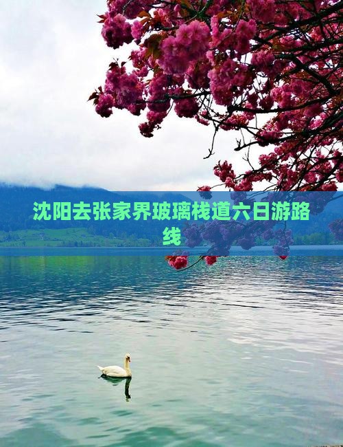 沈阳去张家界玻璃栈道六日游