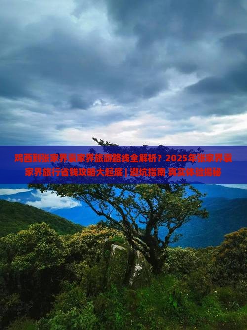 鸡西去张家界袁家界必去地