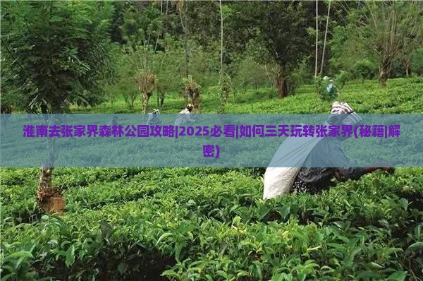 淮南去张家界森林公园攻略