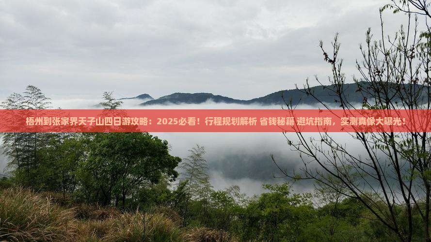 梧州到张家界天子山四日游