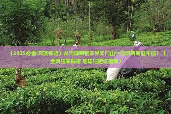河源到张家界天门山一日