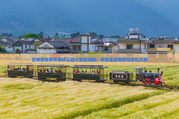 甘南去张家界森林公园大型旅游团