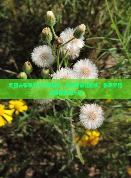 和田去张家界七日游