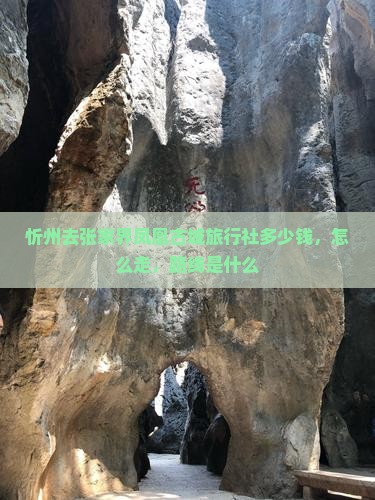忻州去张家界凤凰古城旅行社