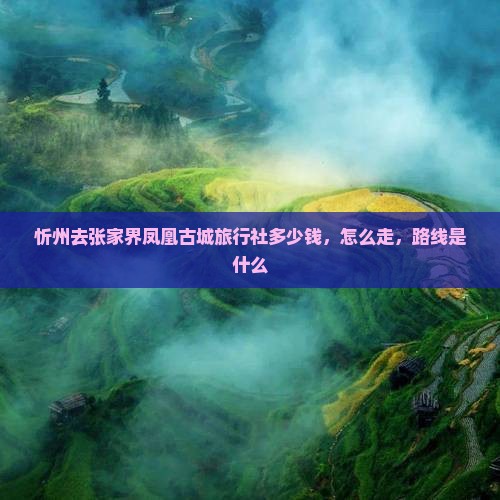 忻州去张家界凤凰古城旅行社
