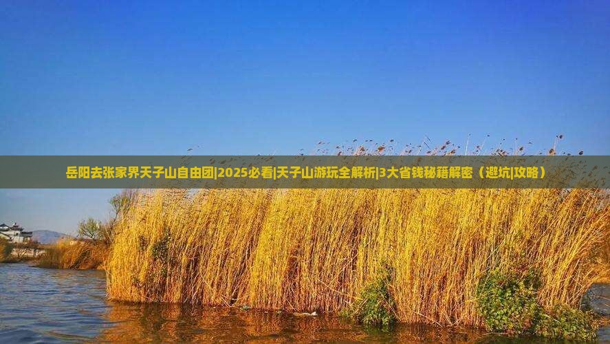 岳阳去张家界天子山自由团