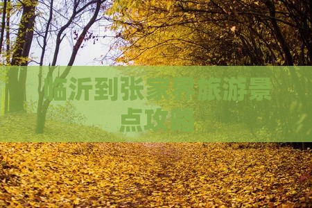 临沂到张家界自由行