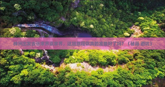 株洲去张家界袁家界旅游