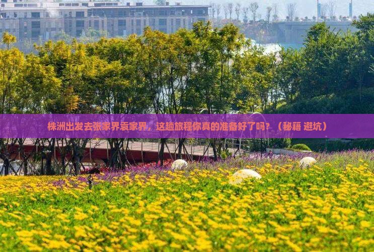 株洲去张家界袁家界旅游