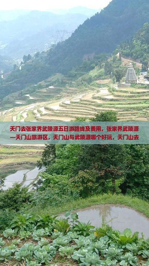 天门去张家界武陵源五日游 天门去张家界武陵源五日游