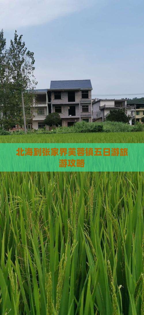 北海到张家界芙蓉镇五日游
